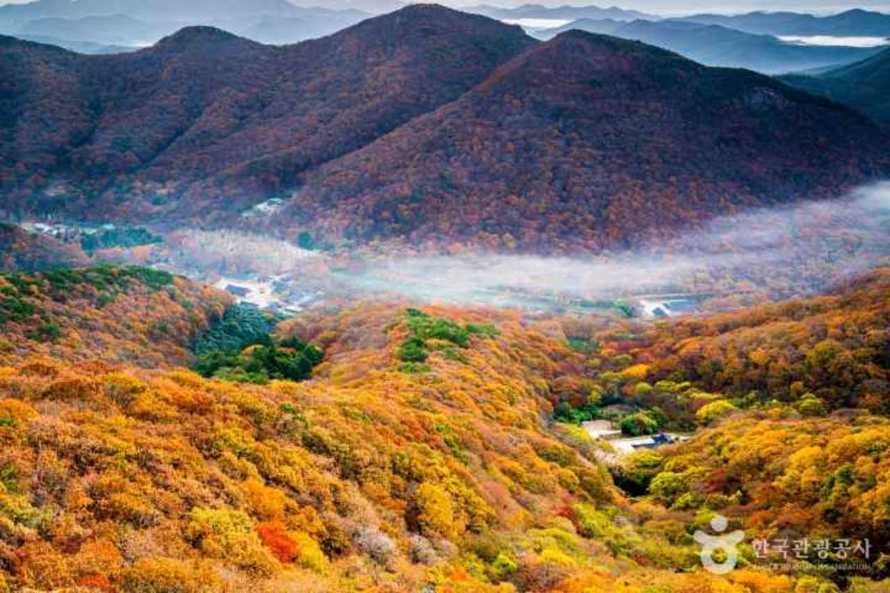 선운사 단풍 / 사진=한국관광공사 이모연