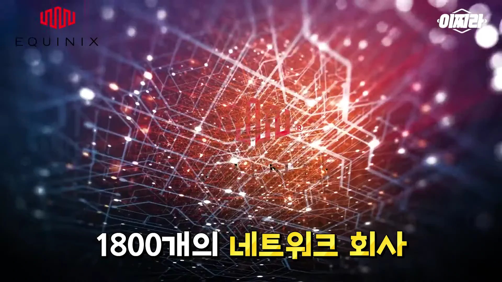 복잡한 회로망 그래픽 배경 위에 '1800개의 네트워크 회사'라는 노란색 텍스트가 강조되어 나타난 뉴스 그래픽 이미지