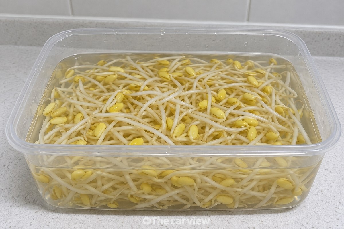 찬물에 완전히 잠긴 콩나물이 담긴 밀폐용기 / 기사 이해를 돕기 위한 생성형 이미지