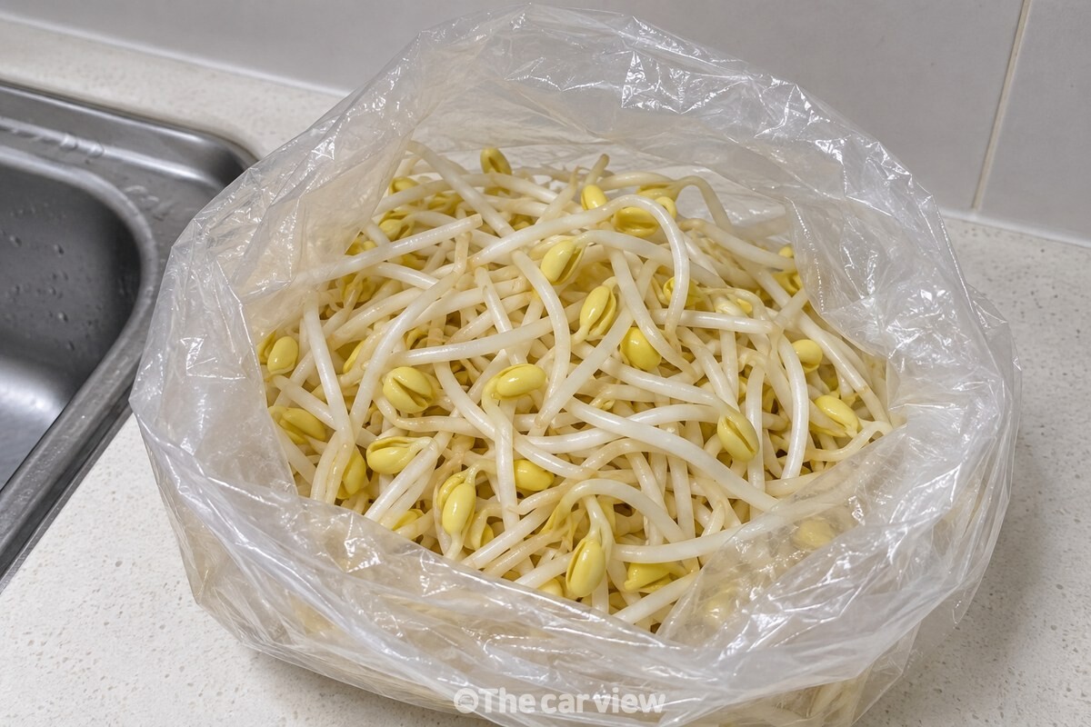투명 봉지에 담긴 노란 머리 콩나물 한 줌 / 기사 이해를 돕기 위한 생성형 이미지