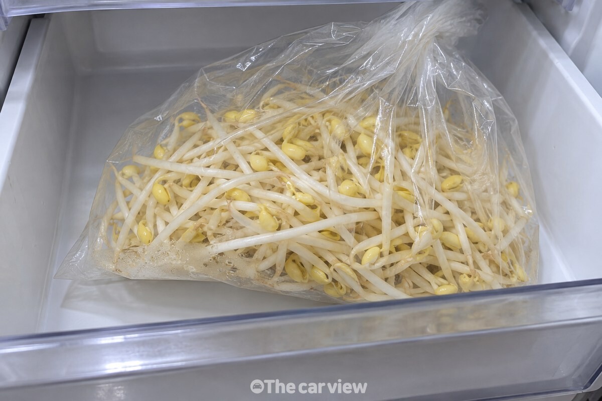 냉장고 채소칸에 놓인 봉지 속 콩나물 / 기사 이해를 돕기 위한 생성형 이미지