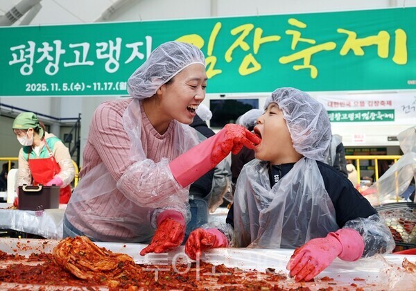 평창 고랭지 김장축제위원회 제공