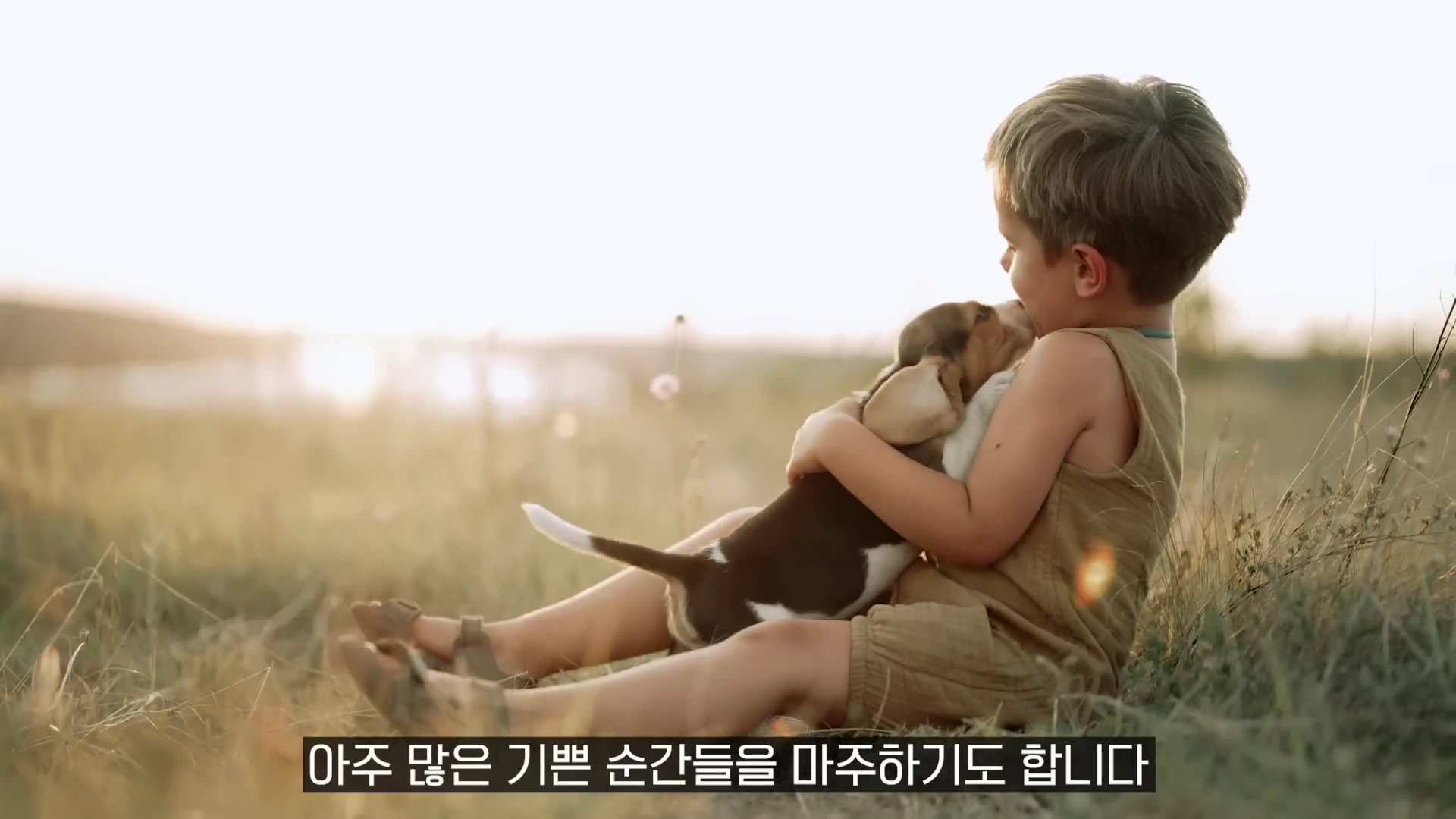 노을이 지는 야외 들판에 앉아 강아지를 다정하게 껴안고 있는 어린아이의 모습