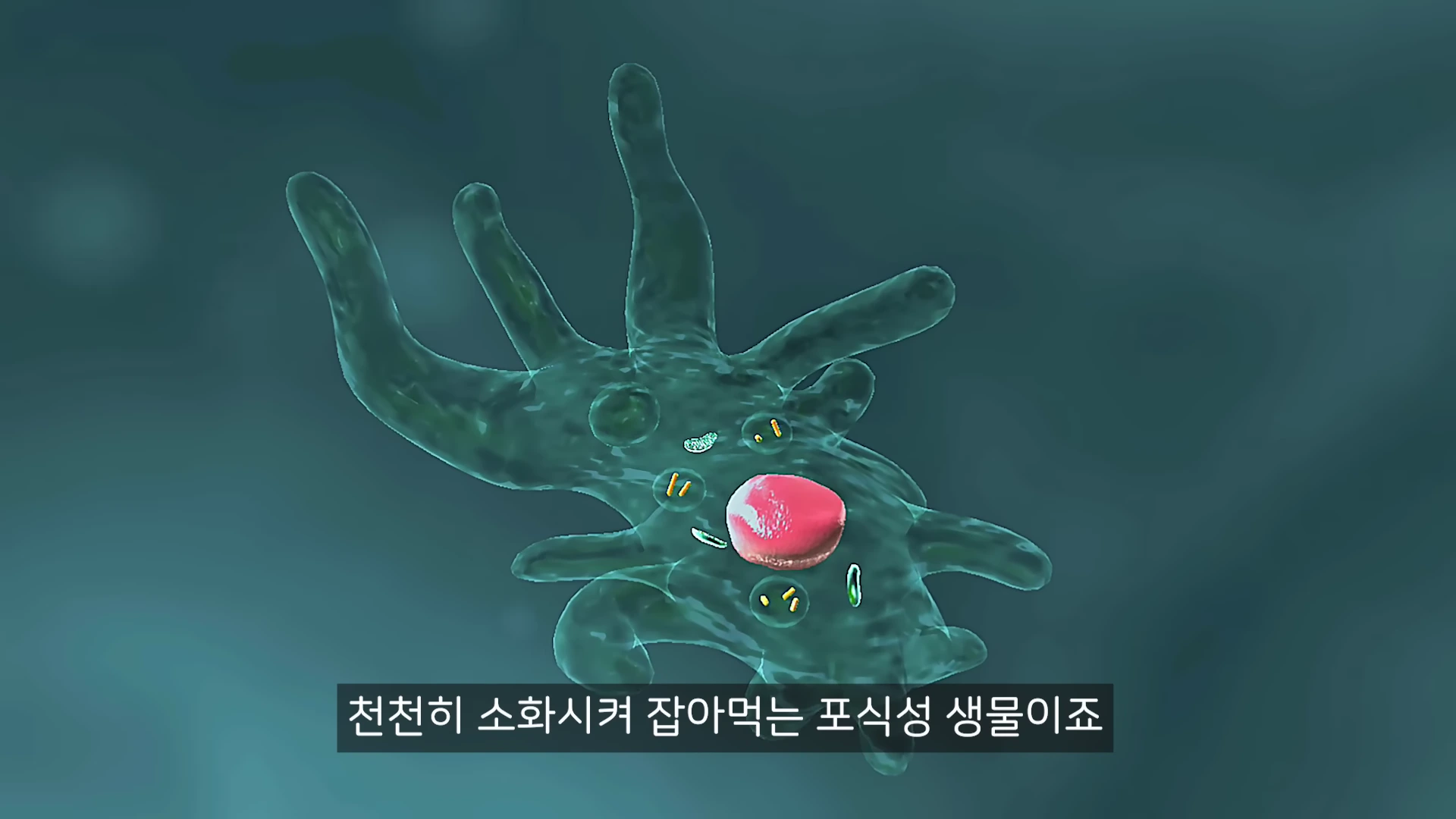 짙은 녹색 배경 위에 위족을 뻗어 움직이는 아메바의 모습을 묘사한 3D 그래픽 모델입니다.