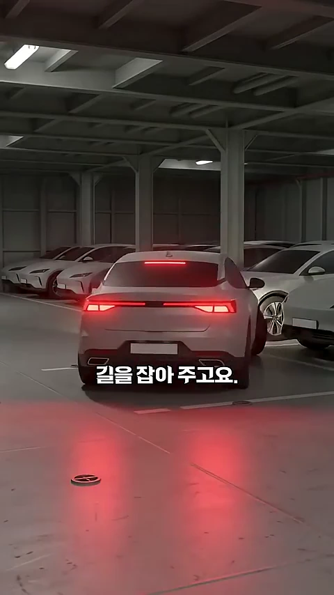 배 내부 선적 공간에 흰색 자동차들이 줄지어 빽빽하게 주차되어 있는 모습