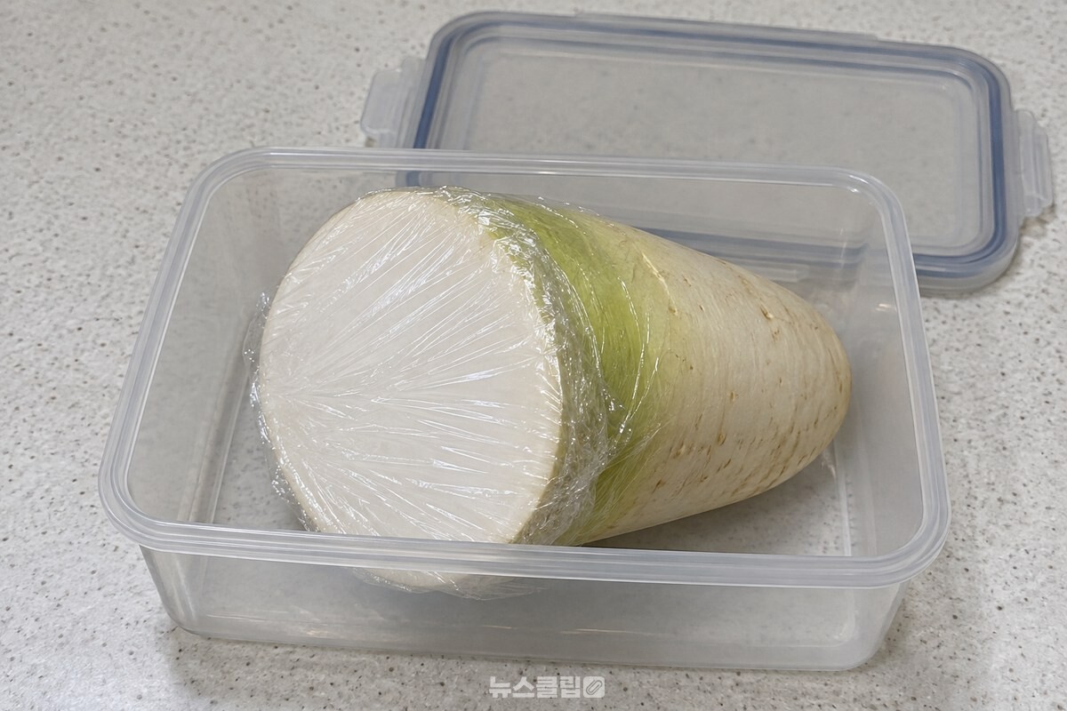 단면에 랩을 밀착한 반쪽 무를 담은 밀폐용기 / 기사 이해를 돕기 위한 생성형 이미지