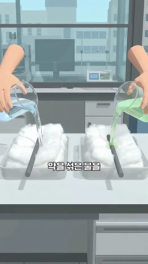 실험실 배경에서 두 손이 각각 투명한 맹물과 연두색 약품을 섞은 물을 솜이 담긴 용기에 붓고 있는 애니메이션 장면.