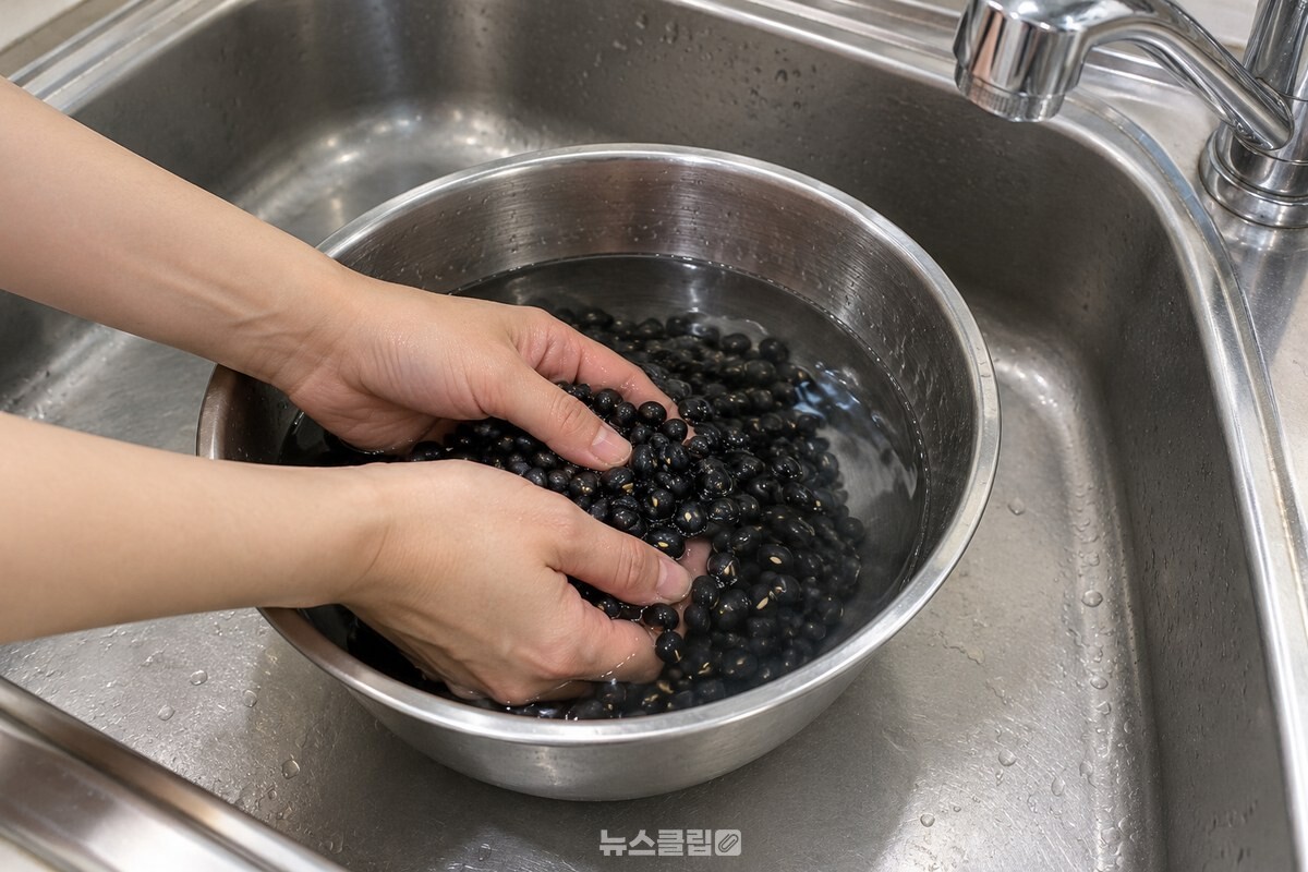 맑은 물에 씻는 검은 서리태와 손 / 기사 이해를 돕기 위한 생성형 이미지
