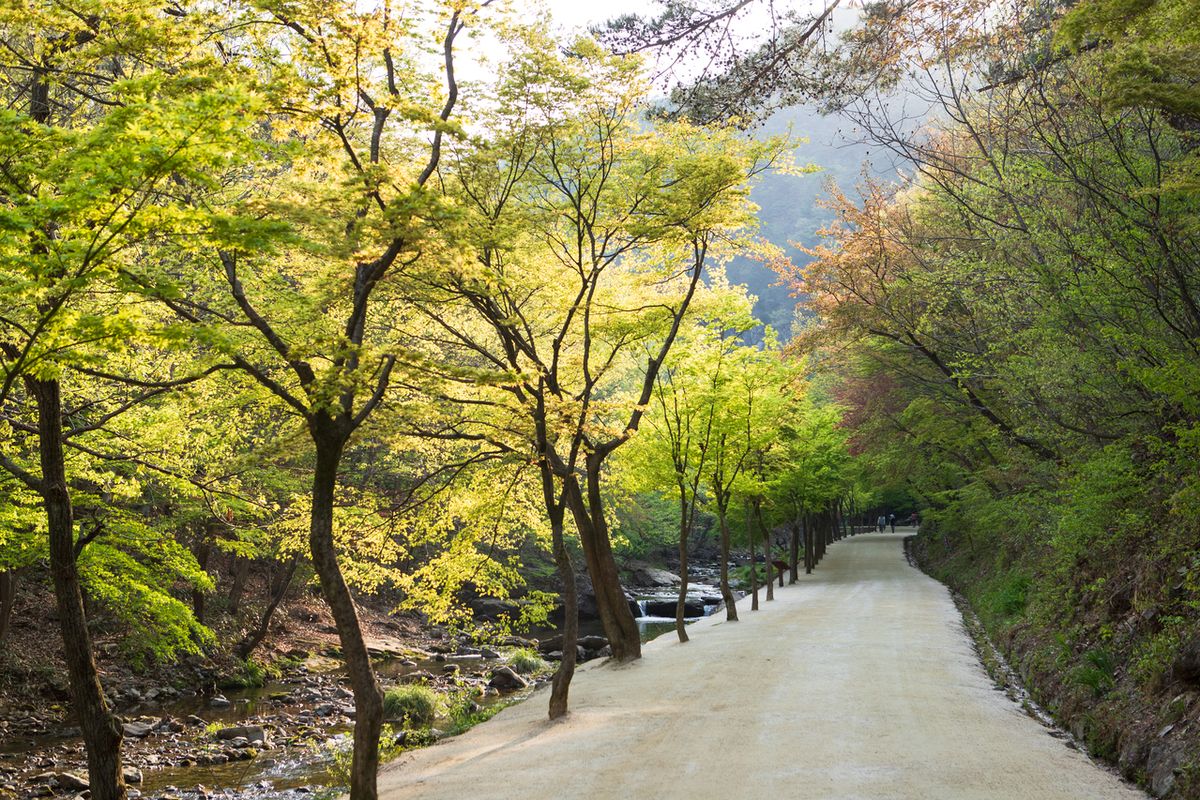 강천산군립공원 / 한국관광공사-김지호