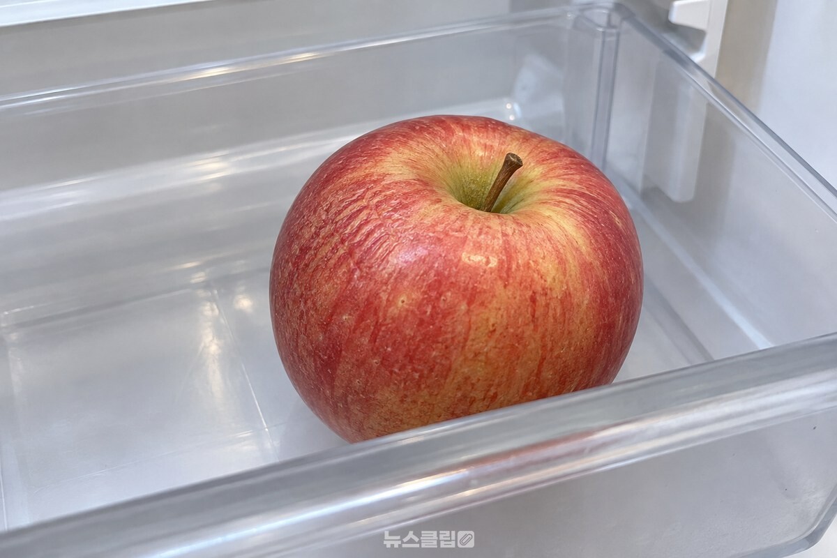 채소칸에 그냥 두어 껍질 한 부분이 살짝 쭈글해진 사과 / 기사 이해를 돕기 위한 생성형 이미지