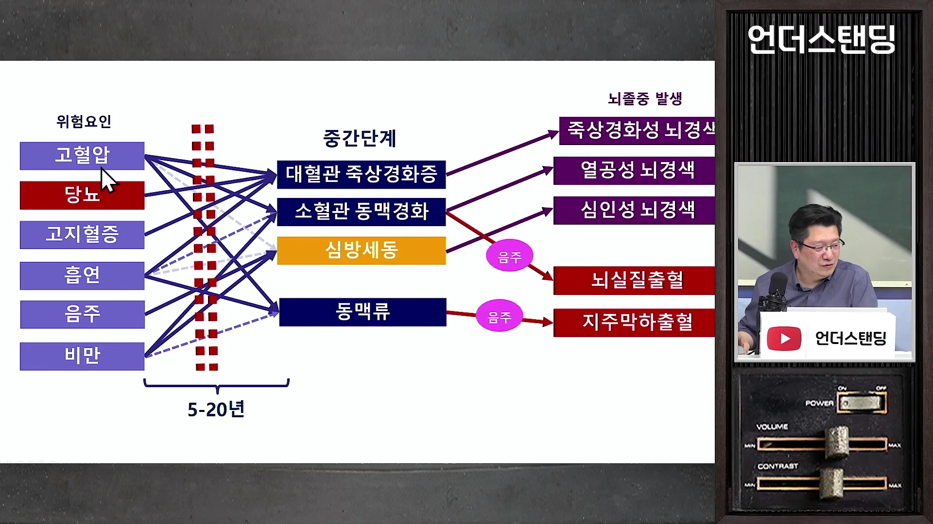 고혈압, 당뇨 등 여러 위험요인이 혈관 질환을 거쳐 뇌졸중으로 이어지는 과정을 나타낸 도표와 이를 설명하는 전문가의 모습이 담긴 화면