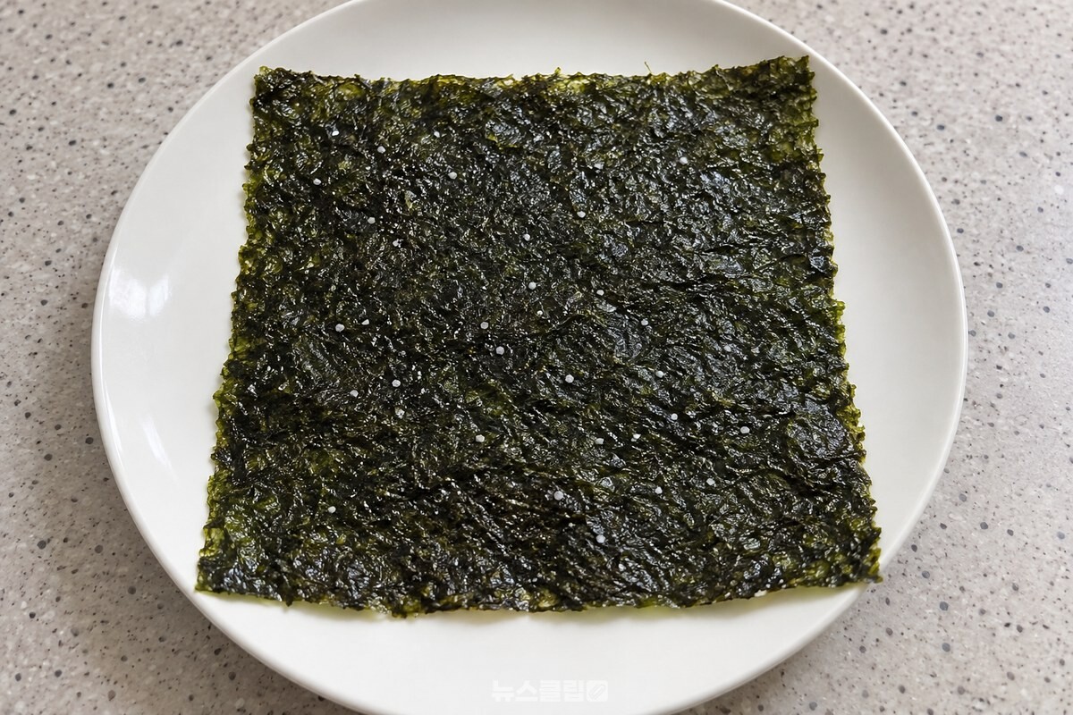 거친 면 위에 고운 소금 알갱이가 남아 있는 김 / 기사 이해를 돕기 위한 생성형 이미지