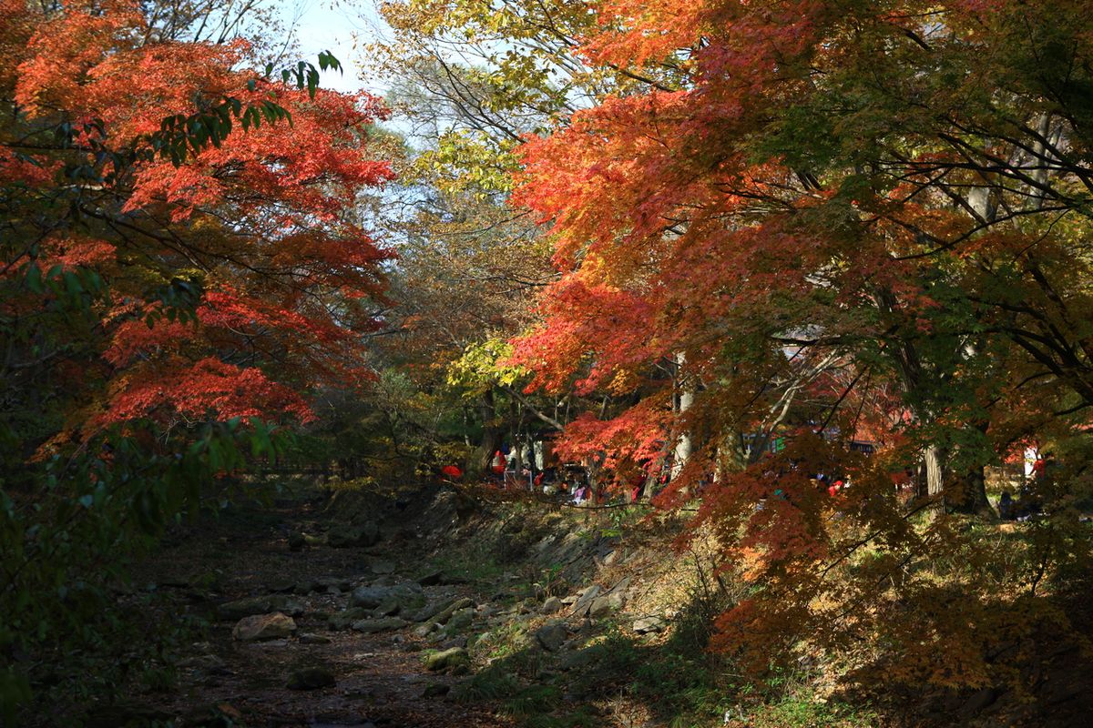 내장산국립공원 / 한국관광공사-김지호