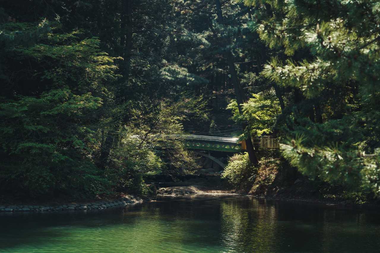 부산어린이대공원 / 사진=부산관광공사 하이픈그룹