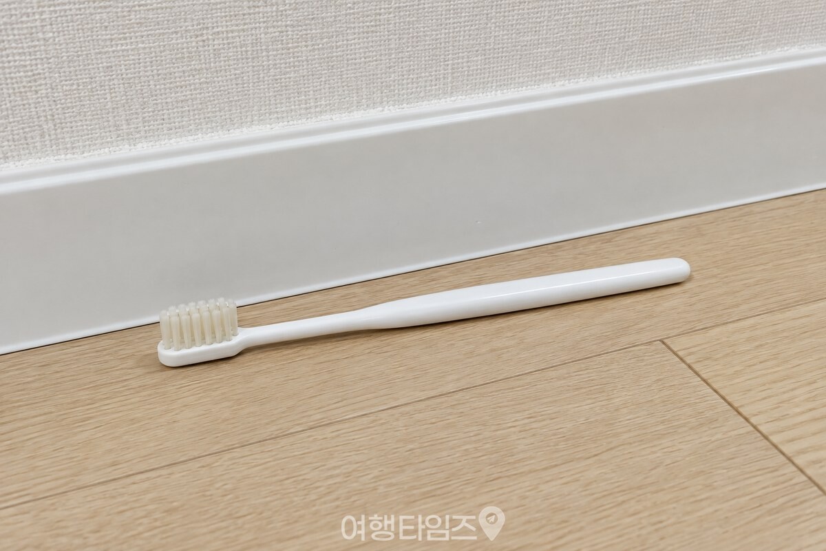 바짝 마른 칫솔 한 개를 준비한 모습 / 기사 이해를 돕기 위한 생성형 이미지