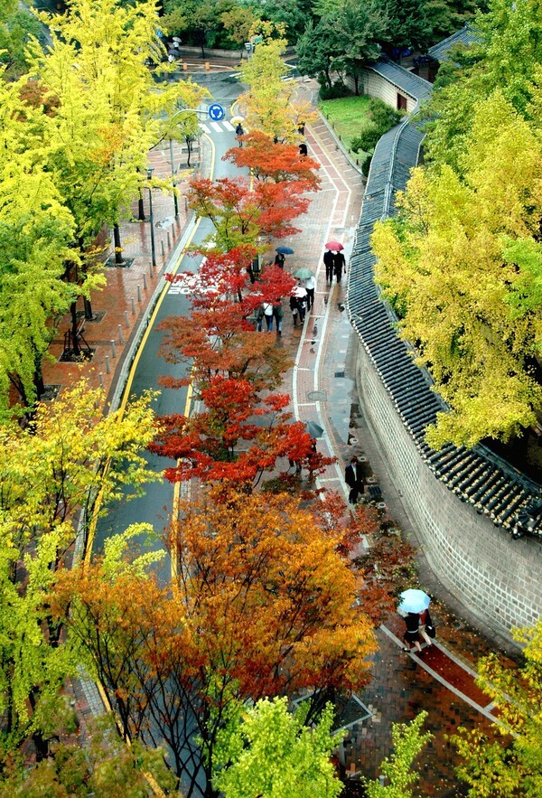 덕수궁길/사진=서울시