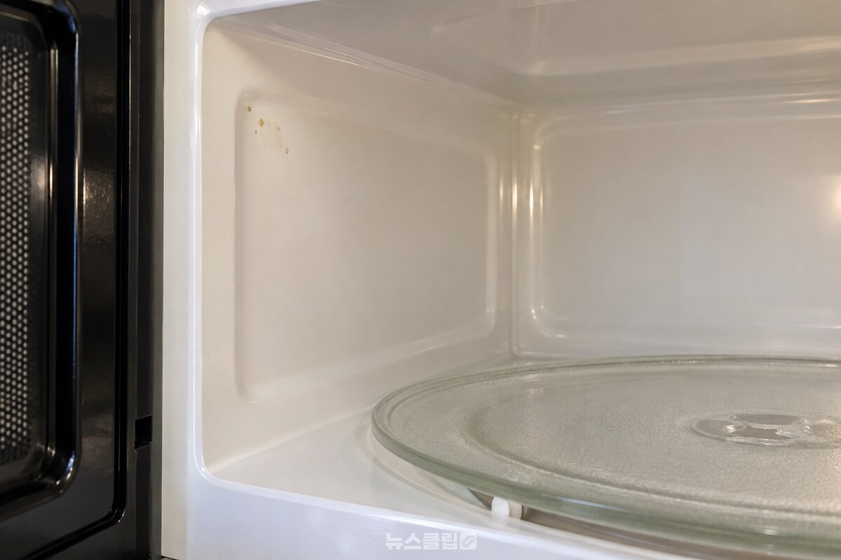 전자레인지 안쪽 벽면의 옅은 국물 자국 / 기사 이해를 돕기 위한 생성형 이미지