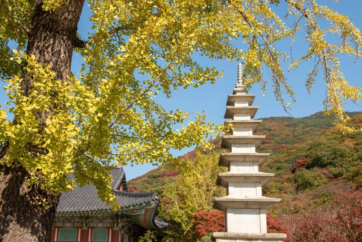 범어사 / 한국관광공사-부산관광공사