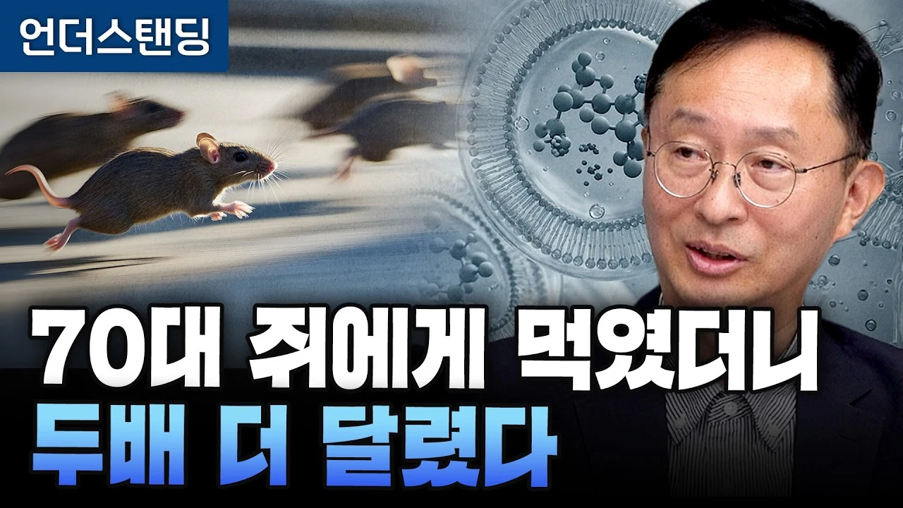 NMN 영양제 먹으면 정말 젊어질까? 효과와 한계 완벽 정리