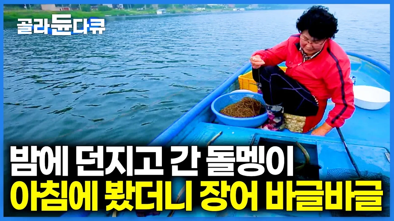 금어기 풀린 남한강, 쏘가리와 장어 잡이에 나선 40년 차 어부들의 조업 현장