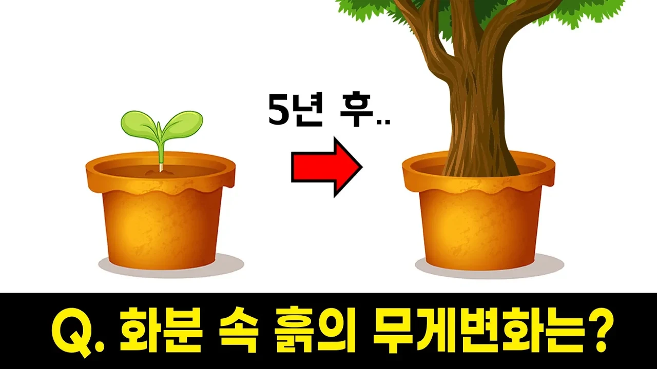 식물은 정말 흙을 먹고 자랄까? 헬몬트 실험과 광합성 발견의 전말