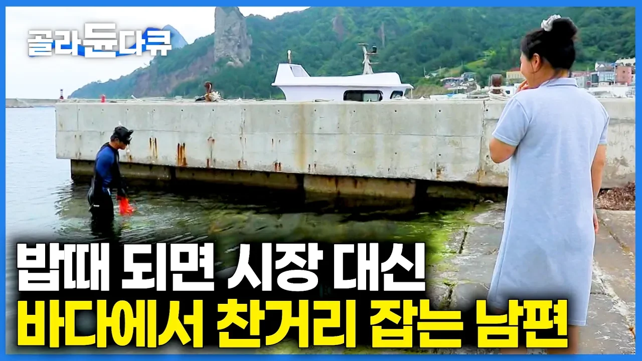 도시 생활 접고 울릉도 현포항에 정착한 젊은 부부의 8년 차 자급자족 귀촌기