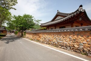 "부모님이 또 가자고 하실 정도네요" 담장 자체가 2006년 등록문화유산이 된 전통 마을 여행지
