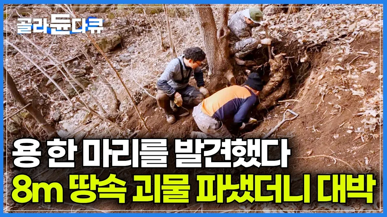 한겨울 꽁꽁 얼어붙은 산속에서 8m 대물 칡을 캐내는 약초꾼들의 사투