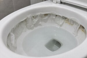 "두루마리 휴지에 '이 물' 적셔 변기에 붙여보세요"…자고 일어나면 누런 때가 사라집니다