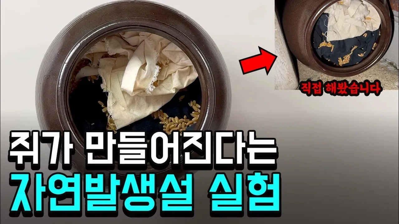 "쥐가 복사가 된다고..?" 전설의 실험 직접 해보았습니다