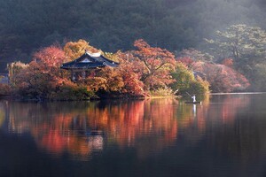 "천 년 전에 만든 못인데 입장도 주차도 공짜에요"... 새벽 물안개 내려앉는 다섯 섬 반영 명소