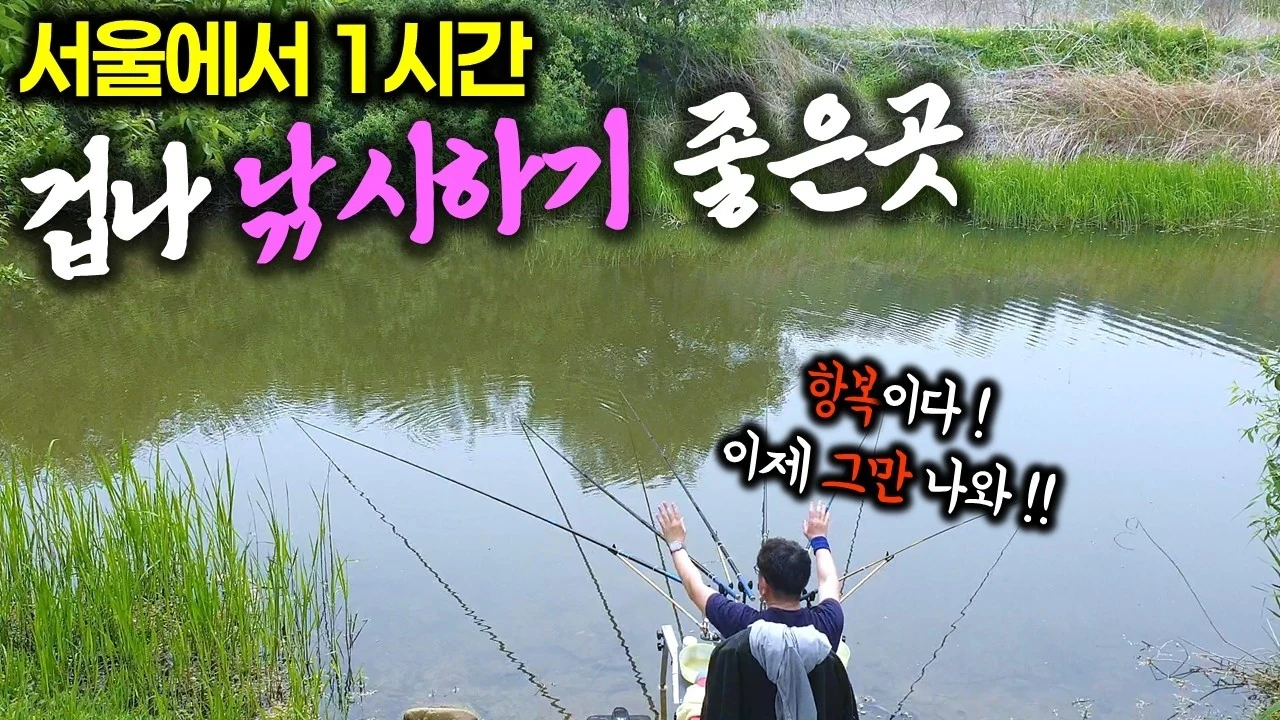 허릿급 붕어 소식에 달려간 섬강 무료 낚시터! 서울에서 이렇게 가까운 곳에 이런 토종붕어 포인트가? (먹방 포함) | 마스터우 | 소개하기 진짜 아까운 무료낚시포인트