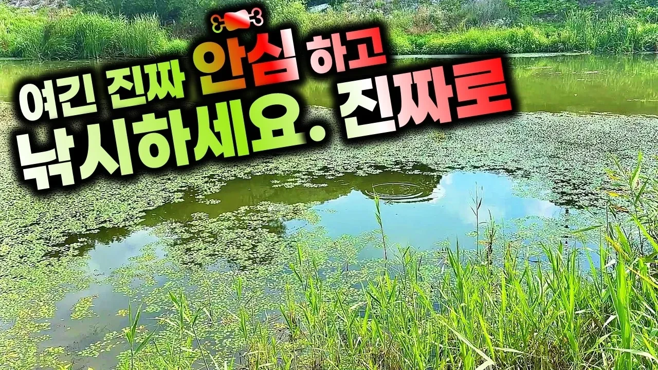 직접가보니 생각보다 너무 좋았던 충북 괴산 수로와 저수지를 소개합니다. 무료낚시터니 빨리 가세요~