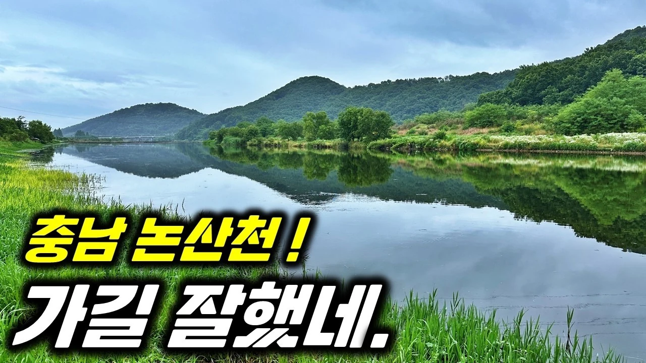 (주소공개) 충남 논산 무료낚시 포인트와 낚시 접으면서 깨달았던 1박 2일 충남 논산 '네이버 붕어야 놀자 카페 정출' 낚시 후기 #붕어낚시 #민물낚시 #차대고바로낚시