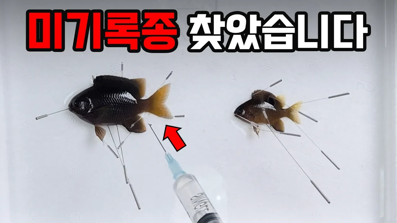 "니가 왜 여기서 나와..?" 실수로 국내 미기록 생물 15종을 찾아버린 대학생