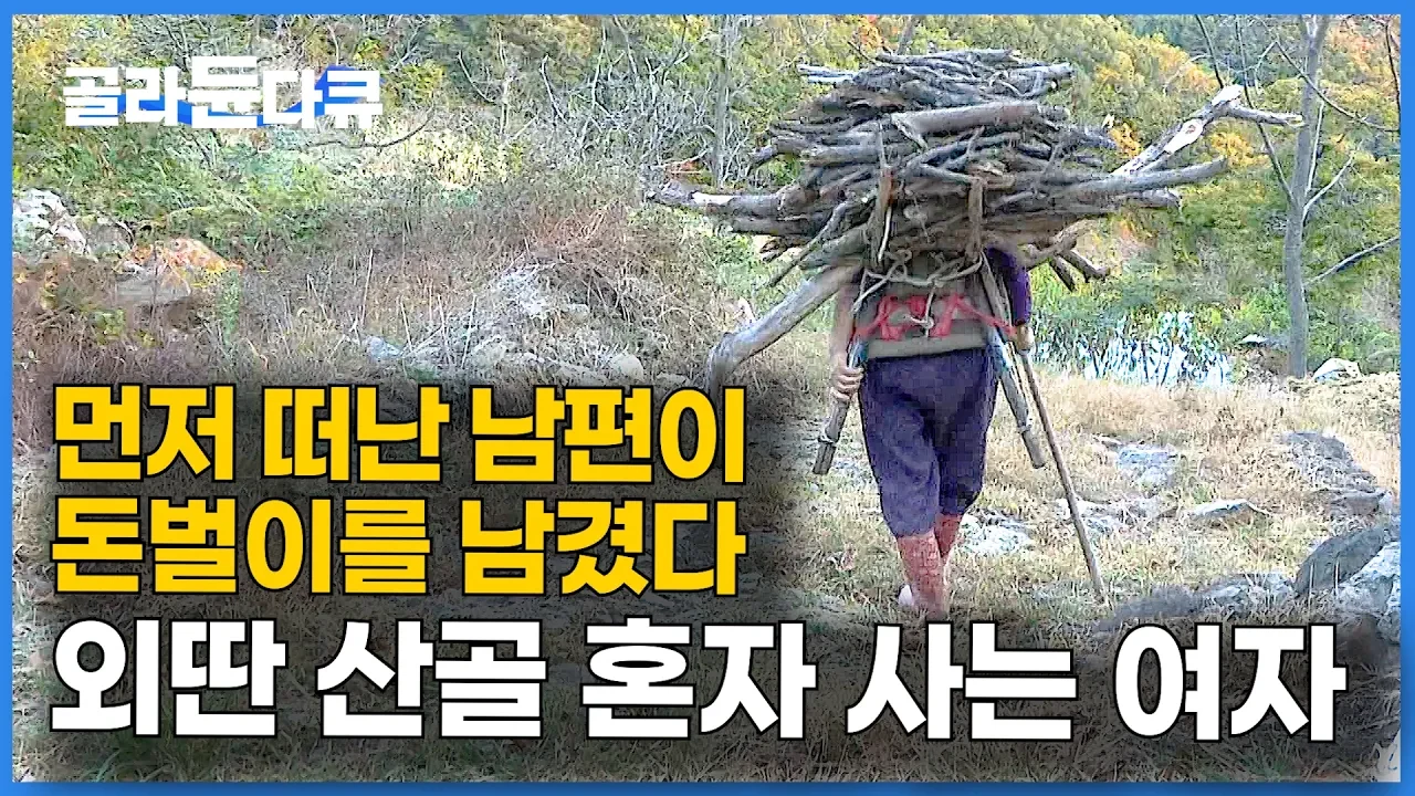 해발 600m 새막골 외딴집, 남편이 남긴 300그루 호두나무와 어머니의 가을