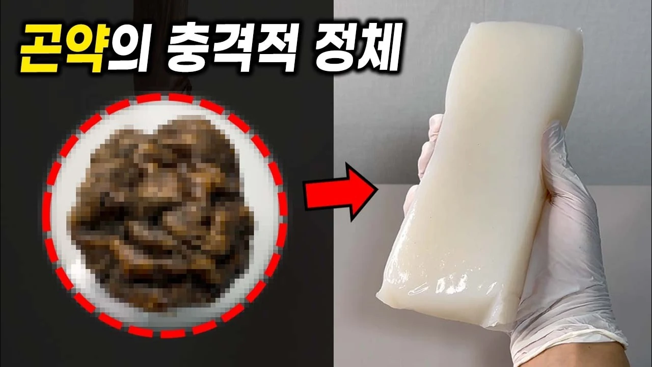 다이어트 대표 식품 곤약은 어떻게 만들어질까? 독초에서 탄생한 원리