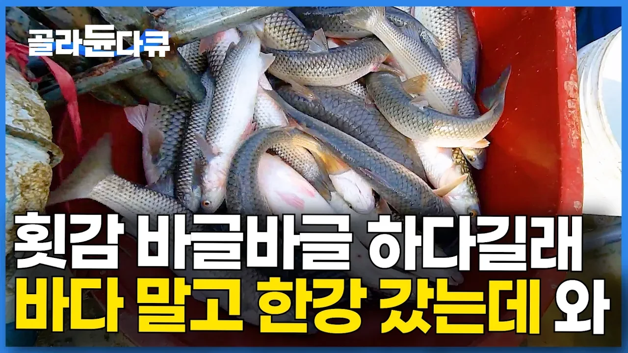 꽁꽁 얼어붙은 한강 유빙 속, 29년 차 여성 어부가 건져 올린 겨울 숭어의 비밀