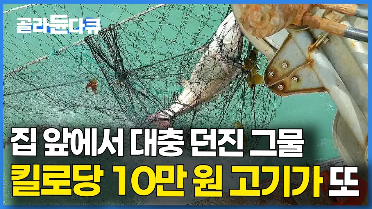 집 앞에 횟감이 줄줄이. 하루 두 번 그물 올려서 저녁밥 해결하는 남자