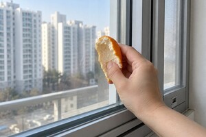 "귤껍질 활용도가 대박입니다" 창문 손자국과 거실 바닥 얼룩에 귤껍질로 '이렇게' 닦아보세요