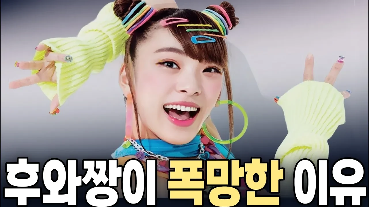 후와짱이 일본방송에서 갑자기 사라졌던 이유